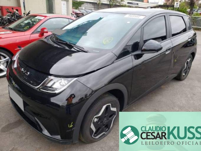 BYD DOLPHIN 23/24 BYD DOLPHIN 23/24